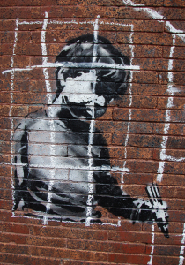 Banksy in Boston by Chris Devers