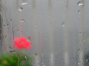 Let It Rain by Tomcat mtl