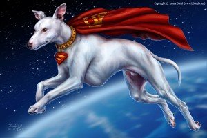 Superdog by Laura Diehl