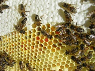 by Richard O York / via Flickr