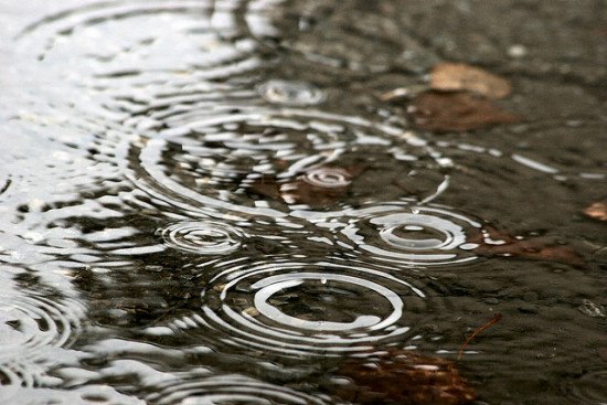 Several water drops hitting a pond surface, resulting in circular ripples