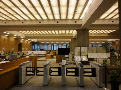 Libraries and self-publishers