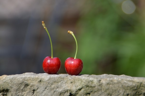 Two cherries on a rock shelf