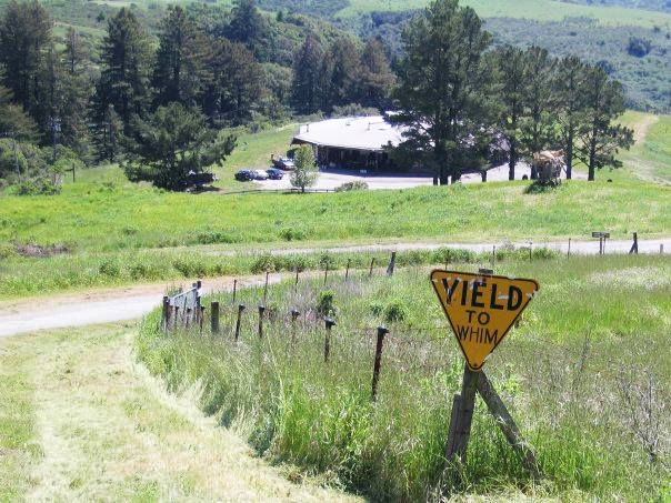 Yield to Whim, Djerassi