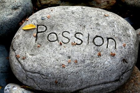advice to pursue your passion