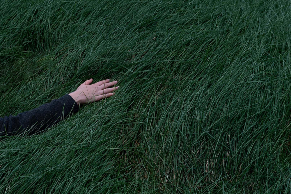 Image: a person's right arm in a black sleeve is palm-down on an expanse of unmown grass.