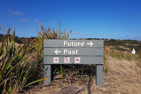 Image: a wooden sign is erected amid tall grasses in a wilderness area. On the sign are the words "Future" accompanied by an arrow pointing to the right, and "Past" accompanied by an arrow pointing to the left.