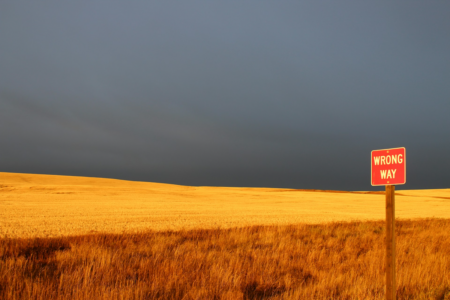 Image: a road sign reading "Wrong Way" stands against a field of golden grain and a dark sky at sunset.