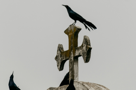 Image: against a gray sky, a crow stands atop a weathered concrete cross in a cemetery.