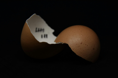Image: against a black background, a hen egg is seen cracked in two, revealing that the former resident had been making hash marks inside the shell to count down the days until breaking free.