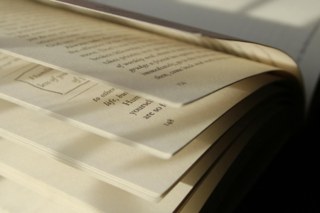 Image: the pages of an open book, showing a variety of design elements such as standard and italicized text, pagination, and special insets.