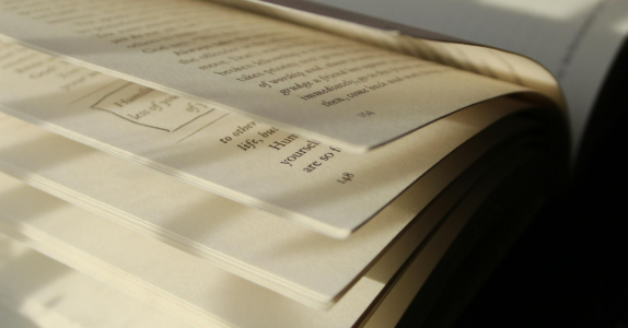 Image: the pages of an open book, showing a variety of design elements such as standard and italicized text, pagination, and special insets.