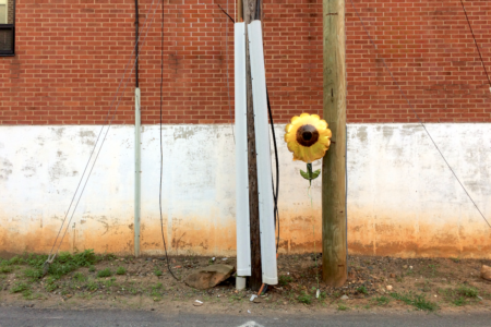 Image: a mylar balloon designed to look like a sunflower stands moored to a patch of dirt amid utility poles in front of a dingy brick wall.