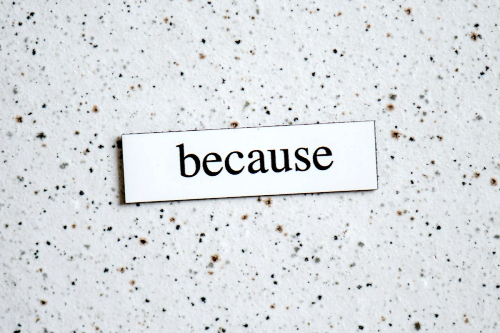 Image: from a magnetic poetry set, a magnet with the word "because" printed on it.