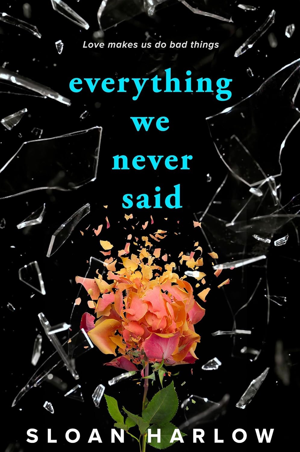 Cover of Everything We Never Said by Sloan Harlow