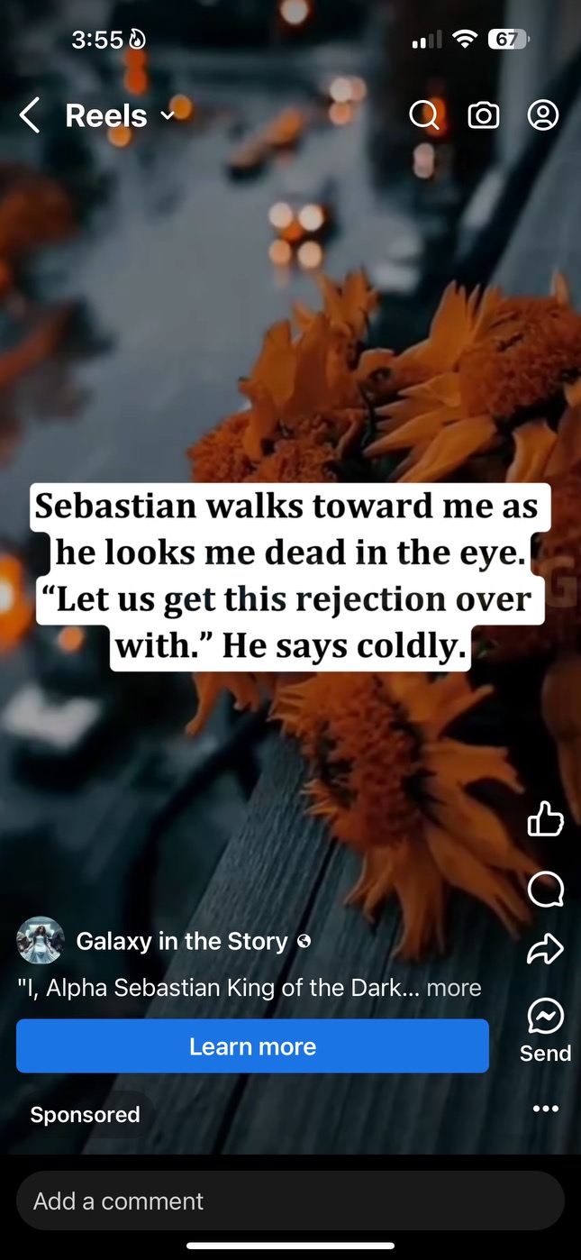 Mobile phone screenshot of a sponsored reel published by Galaxy In the Story. The transcribed text, “Sebastian walks toward me as he looks me dead in the eye. ‘Let us get this rejection over with.’ He says coldly.” is superimposed over a photo of sunflowers which are laid on the window sill of an upper-floor home overlooking an urban street.