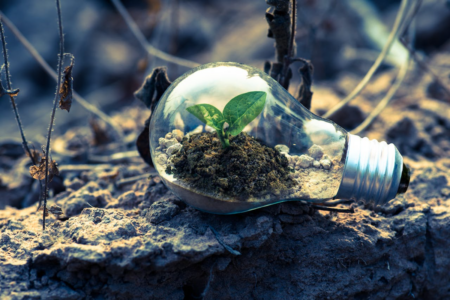 Image: on a patch of dry earth amid withered stems of dead plants is an incandescent lightbulb, inside of which is a small bit of healthy soil and a tiny green plant growing.
