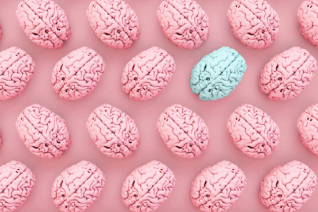 Image: an illustration of human brains, colored pink and arranged in neat rows, except for one which is colored light blue.