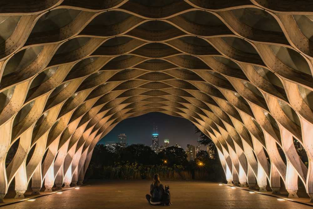 Image: woman and her dog sit on the floor underneath an architectural canopy, looking into the distance at a city skyline at night.