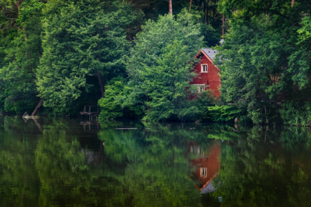 Image: a lakeside cottage is barely seen through a gap between trees.